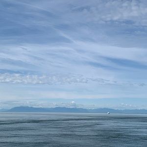 Meet your Posher, Jeffrey